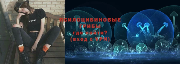стаф Абаза
