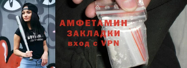 молекула духа Ельня