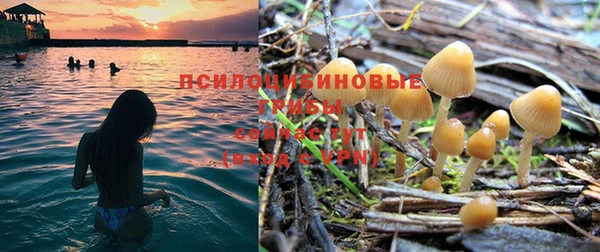 не бодяженный Абдулино