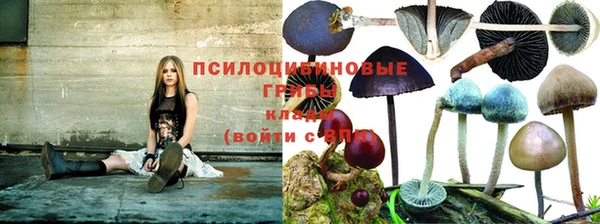 не бодяженный Абдулино