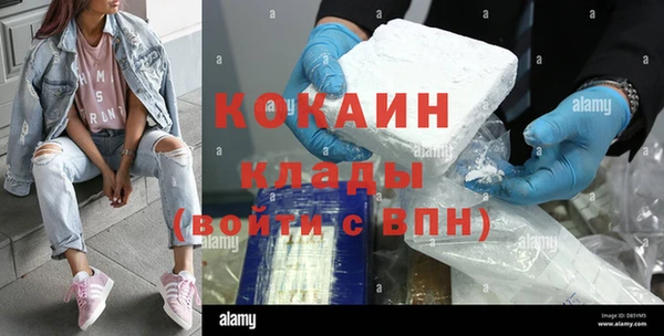 стаф Абаза