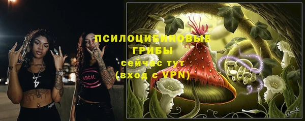 стаф Абаза