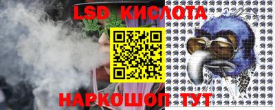 молекула духа Гатчина