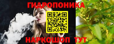 мдпв Гай