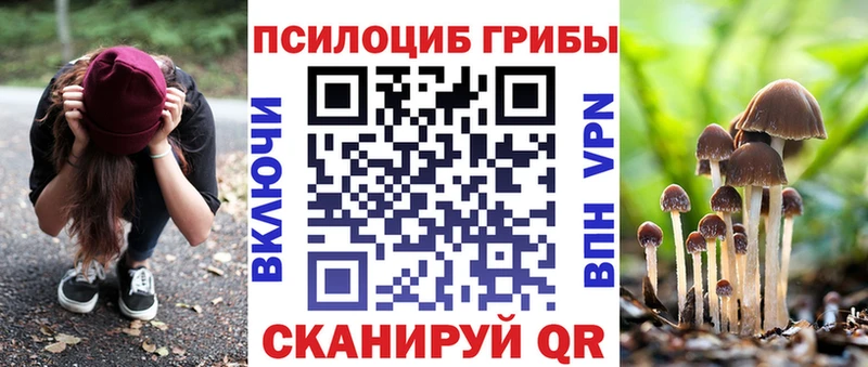 Галлюциногенные грибы мицелий  Заволжье 