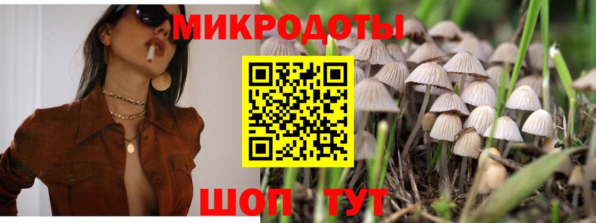 Псилоцибиновые грибы Psilocybe  как найти закладки  Заволжье  Вход с VPN 